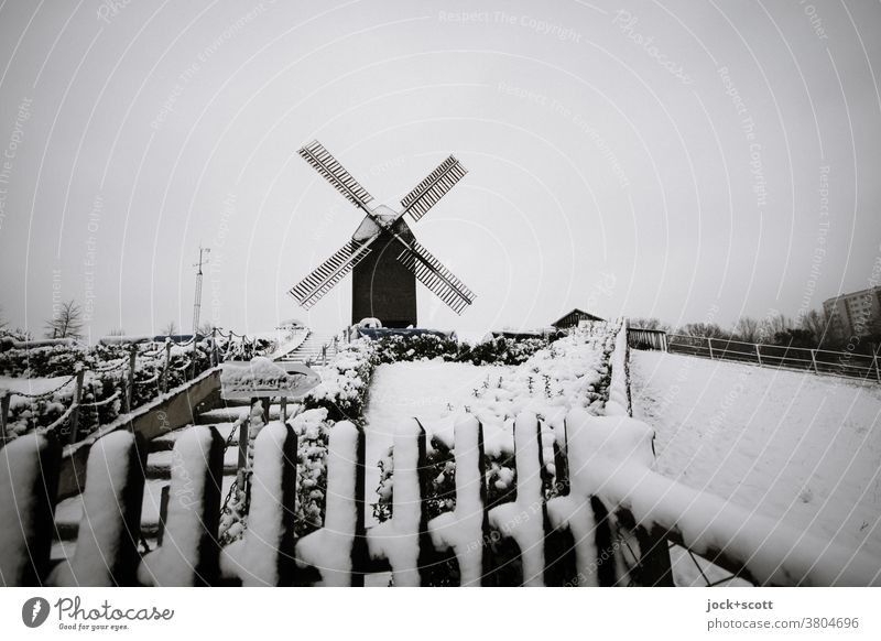 Winterimpression mit Windmühle historisch Wahrzeichen Kultur Hügel Marzahn kalt Schnee unberührt weiß Sträucher schlechtes Wetter lattenzaun Bockwindmühle