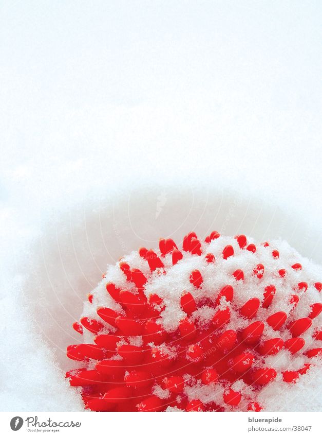Igel im Schnee rot weiß Spielzeug Noppe Freizeit & Hobby Abdruck