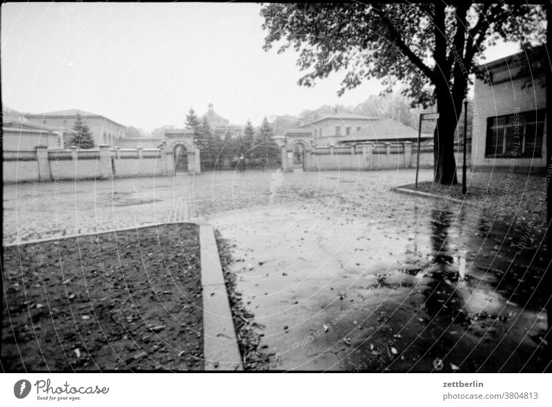 Jüdischer Friedhof, Berlin friedhof jüdischer friedhof berlin weißensee weissensee herbst regen nass traurig trist melancholie kopsfsteinpflaster bogen platz