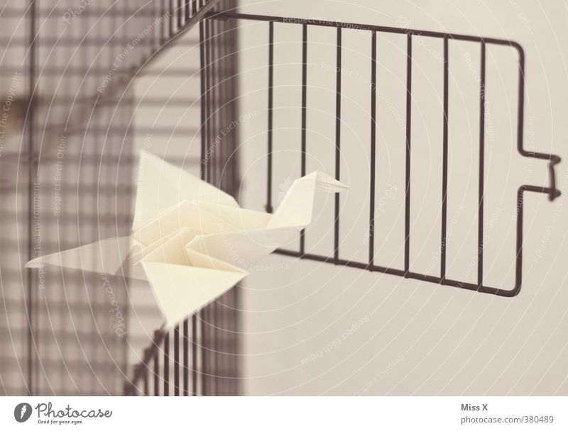 Vogelfrei Freizeit & Hobby Basteln Kunst Tier 1 fliegen Gefühle Stimmung Freiheit Hoffnung Perspektive entkommen Flucht fliegend Kranich Origami Papier Käfig