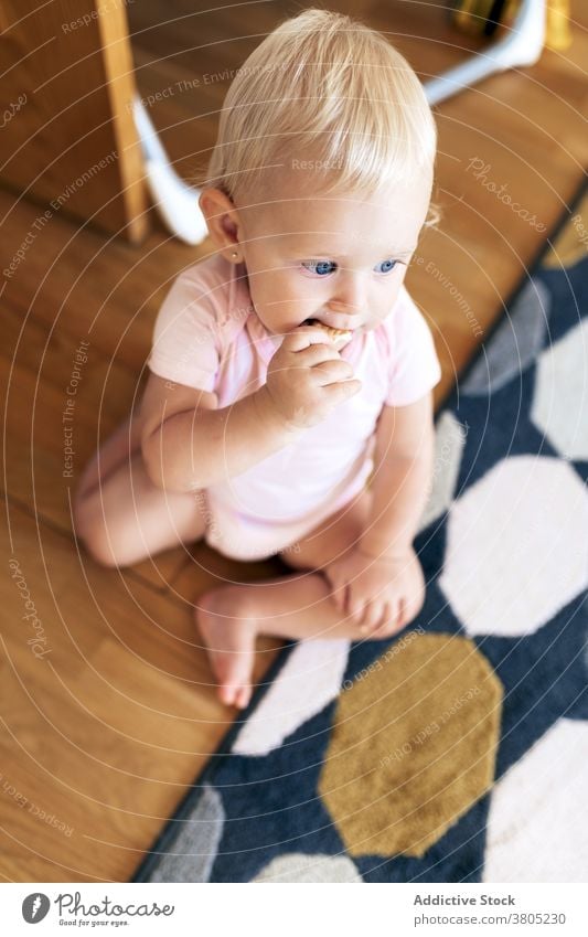 Süßes Baby Mädchen essen auf dem Boden Keks Stock bezaubernd heimwärts unschuldig Komfort sich[Akk] entspannen Säuglingsalter süß ruhen Kleinkind Kind blond