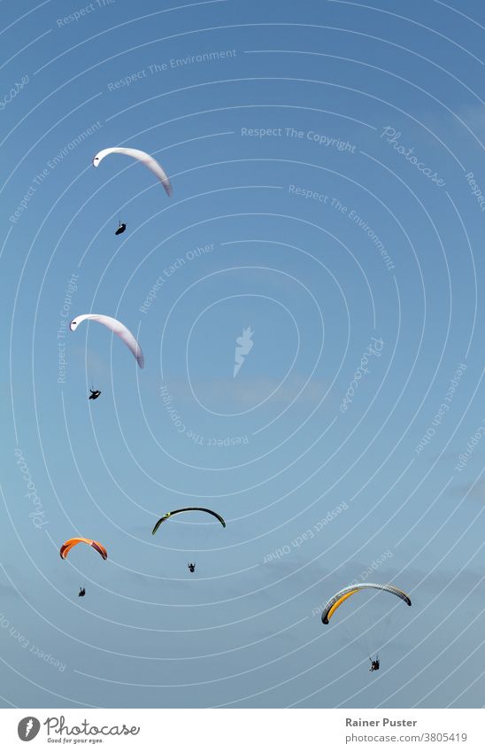 Fünf Gleitschirmflieger vor der Küste von San Diego, Kalifornien im Freien Fallschirm Aktivität Air Hintergrund blau Klippe Tag extrem Flug Fliege Freiheit
