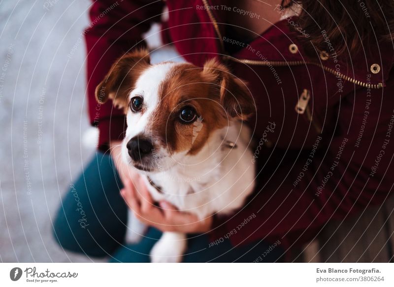 Draufsicht auf einen niedlichen Hund, der auf dem Schoß seines Besitzers sitzt, Lebensstil im Freien bezaubernd Herbst Bank Backsteinwand Freizeitkleidung