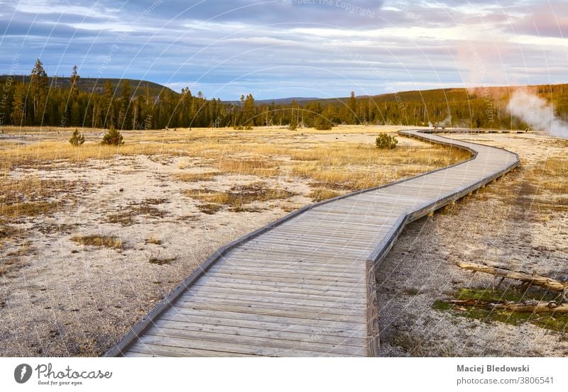 Holzbrücke im Yellowstone-Nationalpark bei Sonnenuntergang, Wyoming, USA. Natur yellowstone Park hölzern Weg Brücke Fernweh Nachlauf reisen Abenteuer Landschaft