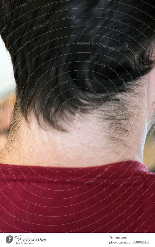 Nackenhaare - Mann, jung Haare & Frisuren Mensch Haut Hals Farbfoto Rückansicht Außenaufnahme
