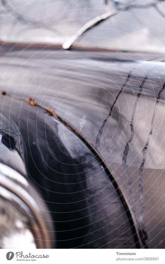 Spuren | auf dem Lack des Oldtimers Auto Kuehlerhaube Wasser Regen Fahrzeug alt Scheinwerfer Windschutzscheibe Scheibenwischer Nostalgie Chrom Detailaufnahme