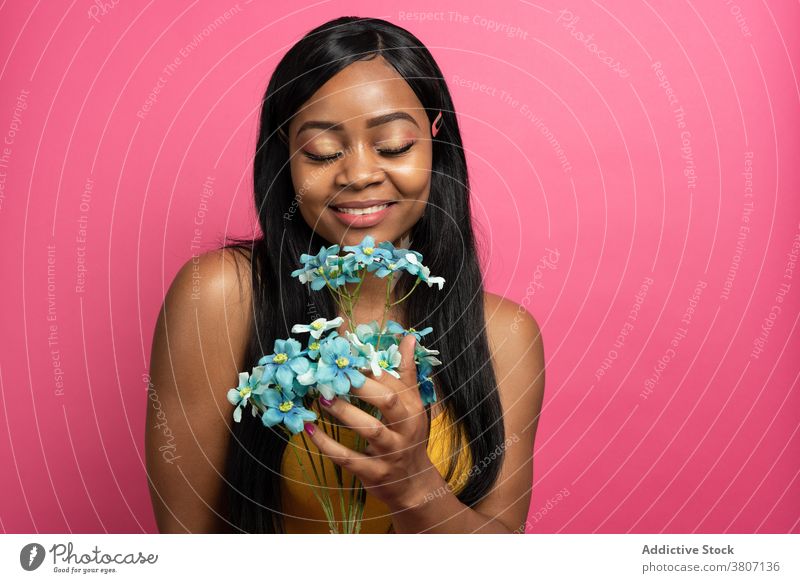 Erfreut junge ethnische Frau riecht Blumen in rosa Studio riechen Lächeln Glück Blüte filigran Geschenk frisch Porträt elegant heiter Freude Afroamerikaner