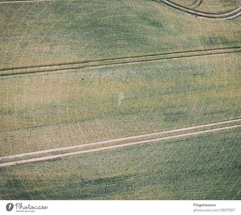 Von oben 2 Luftbild Drohnen Drohnenaufnahme Drohnenansicht Feld Feldrand Feldarbeit Felder Spuren spurenlesen spurensuche Wege & Pfade Getreide Getreidefeld