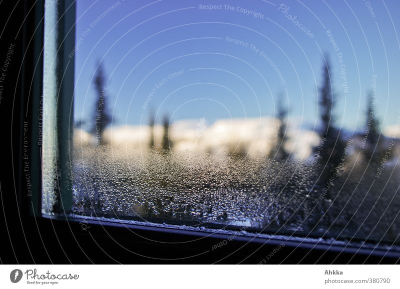 Fenster mit unscharfer skandinavischer Winterlandschaft Gesundheit Wellness Leben harmonisch ruhig Ferne Winterurlaub Landschaft Eis Frost Denken träumen frei