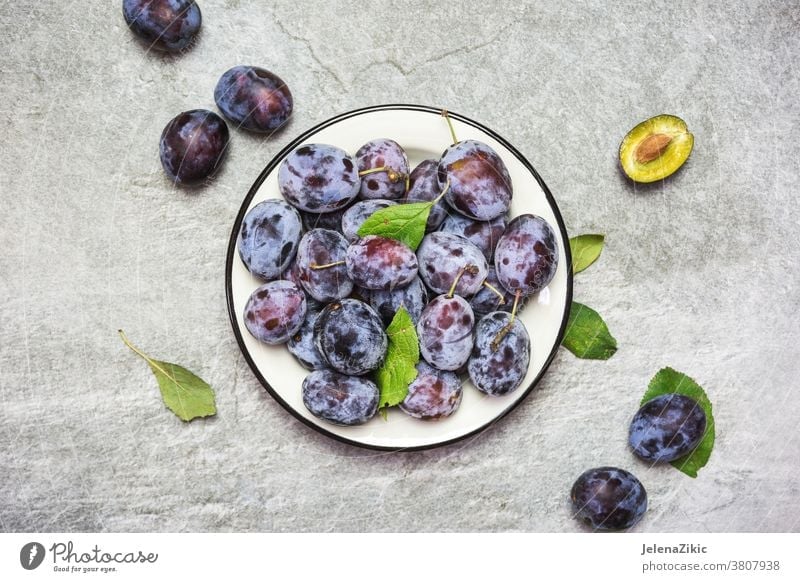 Reife blaue Pflaumen auf einem Teller reif Frucht organisch süß Lebensmittel Gesundheit Frische frisch Herbst purpur lecker Vegetarier roh Natur Sommer Dessert