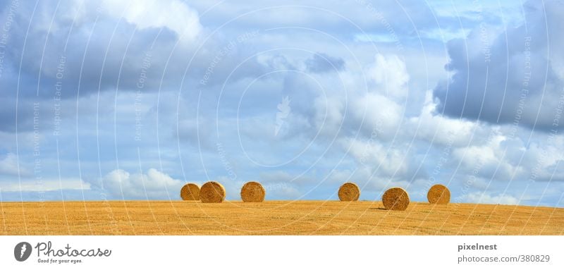Strohballen Getreide Sommer Landwirtschaft Forstwirtschaft Natur Landschaft Pflanze Wolken Herbst Wärme Feld rund blau gelb Rolle Strohrolle Heu Kornfeld Gerste
