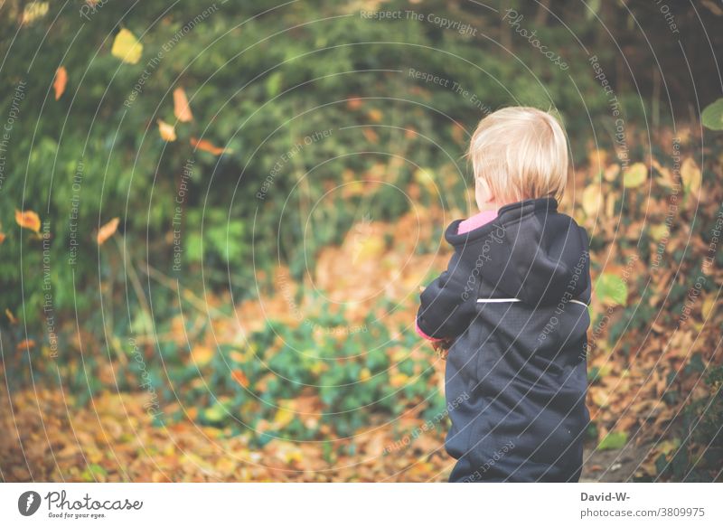 Kleinkind bei Herbst draußen in der Natur Kind Laub natur Wald beobachten Jahrezeit herbstlich Blätter Spaziergang
