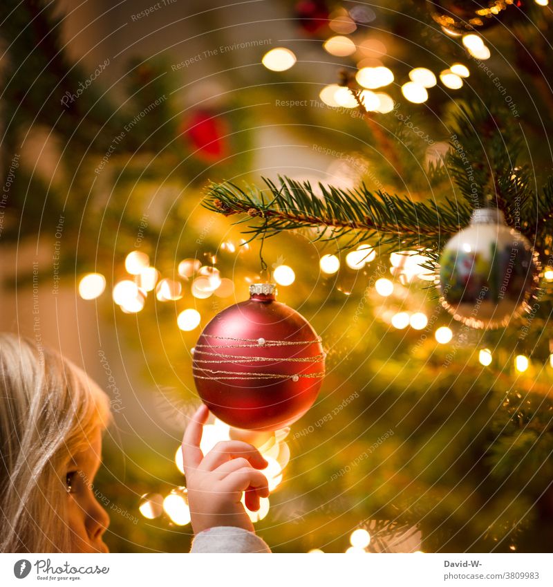 Kinder und Weihnachten Tannenbaum Christbaumkugel Weihnachtsbaum Dekoration & Verzierung ehrfürchtig Vorfreude niedlich Freude Lichterkette leuchten