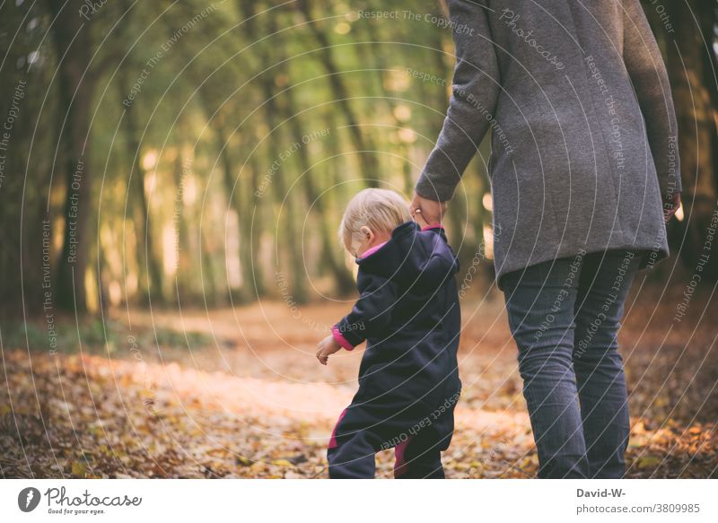 Mutter und Kind beim Herbstspaziergang Spaziergang Eltern herbstlich Zusammenhalt Gemeinsam Wald gemeinsam Zusammensein