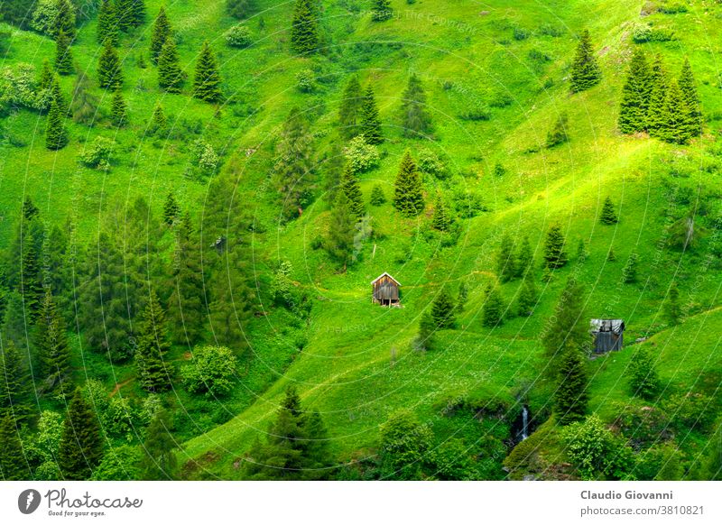 Berglandschaft entlang der Straße zum Passo Giau, Dolomiten, Venetien, Italien Belluno Europa giau unesco Veneto Farbe Tag grün Hütte Landschaft