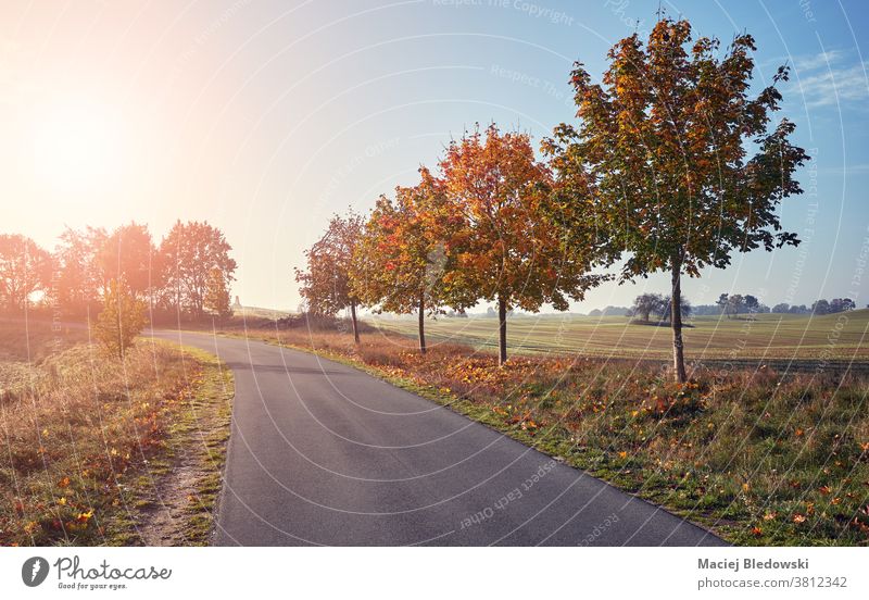 Malerische asphaltierte Landstraße bei Sonnenuntergang. Straße Herbst schön Landschaft Baum Ausflug reisen Saison sonnig Natur malerisch Reise Himmel grün gelb