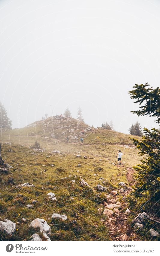 Wandern im Nebel über dem Achensee in Tirol in Österreich Alpen Gegenlicht tirol Fernweh Wanderausflug Wandertag Naturschutz Ausdauer Tatkraft Willensstärke