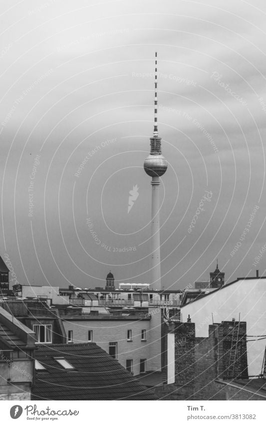 Blick über ein Dach auf den Berliner Fernsehturm Himmel Prenzlauer Berg Wahrzeichen Architektur Turm Sehenswürdigkeit Stadt Außenaufnahme Menschenleer