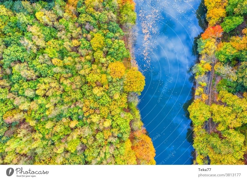 ein Herbstfluss von oben Fluss fallen Fallfluss Wasser Baum Bäume Reflexion & Spiegelung Fluss von oben Wald von oben orange gelb grün Wolken wolkig
