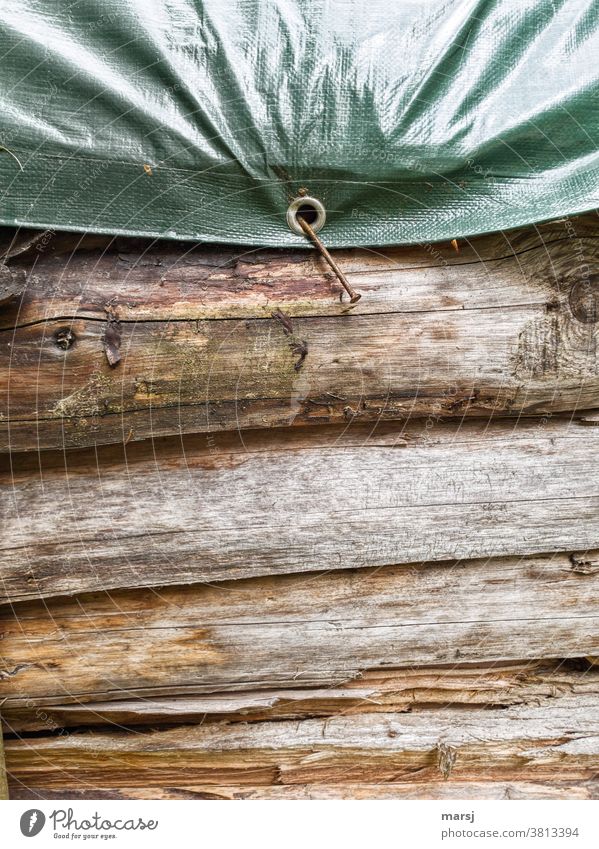 Wenn ein krummer Nagel die ganze Last und Bürde des Schutzes von Brennholz übernehmen soll. Holzstapel Schutzplane Öse angenagelt befestigen Baumstamm Holzlager