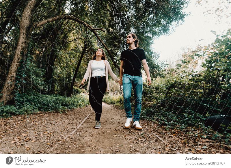 Frontansicht eines jungen Paares, das im Herbst einen Spaziergang macht und den Wald erkundet Lachen Spaß wiederherstellen kalt Gleichgewicht Wellness Freizeit