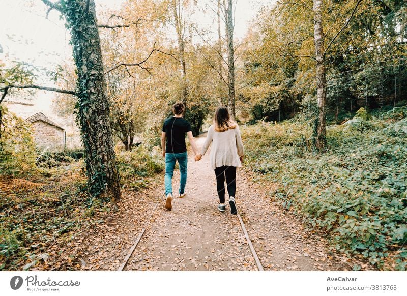 Junges Paar macht im Herbst einen aktiven Spaziergang im Park, Blick von hinten Lachen Spaß wiederherstellen kalt Gleichgewicht Wellness Freizeit Jugend Auszeit