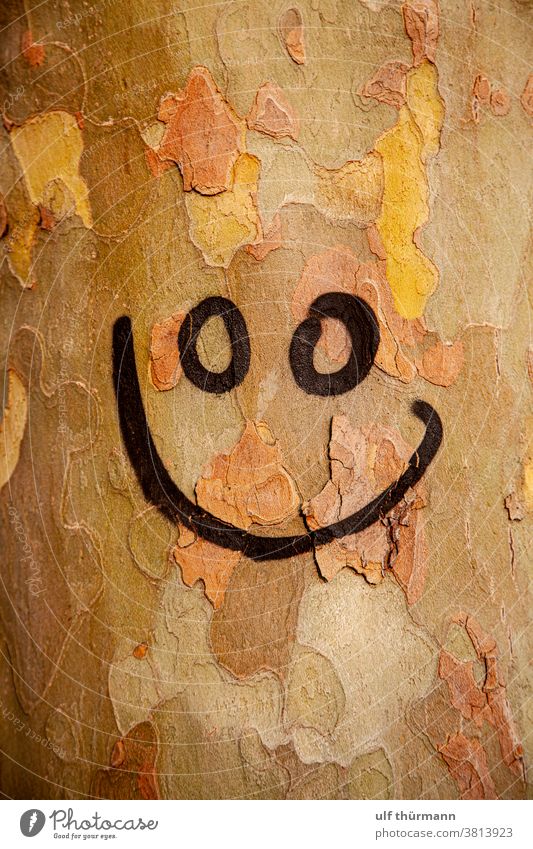 Smiley auf Baumstamm gesprüht Baumrinde Natur Herbst Umwelt braun gelb schwarz Holz Außenaufnahme Detailaufnahme