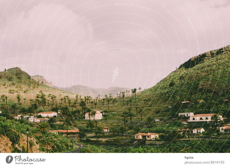 Targa - La Gomera Landschaft Farbfoto Berge Palmen Außenaufnahme Natur grün Fernweh Insel Wandern Kanaren