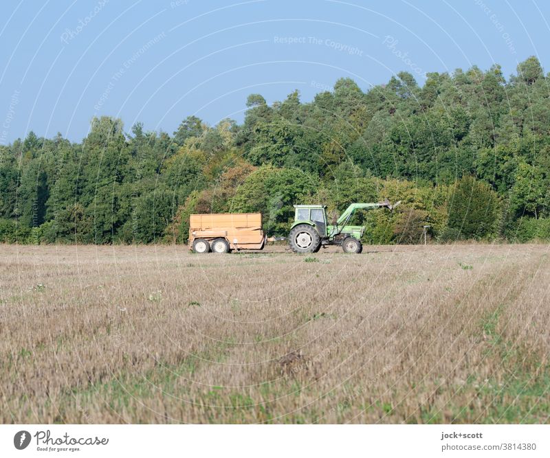 Anhänger hinter ziehenden Traktor fährt übers Feld Natur Landwirtschaft Wald Arbeit & Erwerbstätigkeit Umwelt Landschaft fahren Wolkenloser Himmel
