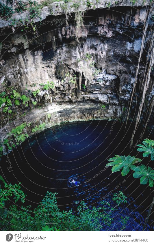 Schwimmende Person in der Cenote Oxman mit blauem Wasser und tropischen Pflanzen in der Höhle, Yucatan, Mexiko cenote oxman Abenteuer geheimnisvoll Mysterium