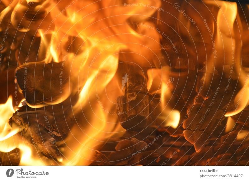 Feuer | Trash 2020 Glut Asche Lagerfeuer heiß brennen nah gefährlich Gefahr verbrennen Flamme Flammen Holz Kohle verkohlen verkohlt Wärme warm Hitze erwärmen