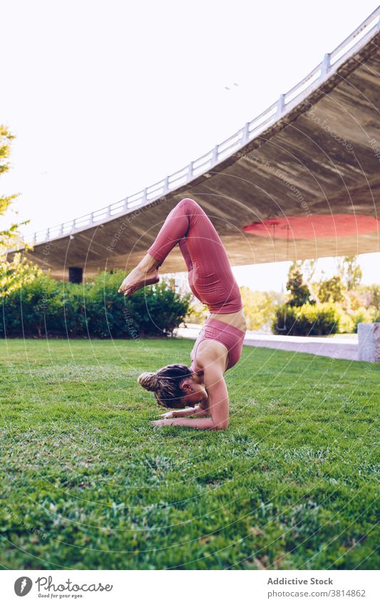 Yogi Frau macht fortgeschrittene Balance Asana Yoga Skorpion vrschikasana beweglich Umkehrung Gleichgewicht Pose üben Park positionieren schlank Wellness