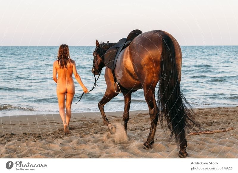 Schöne nackte Frau zu Fuß am Strand mit ihrem Pferd bei Sonnenuntergang