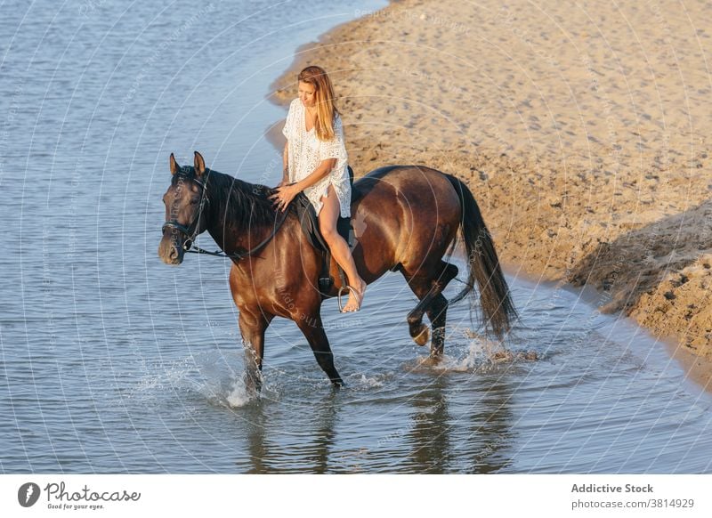 Schöne Frau in einem weißen Kleid reitet ein Pferd überqueren einen Fluss bei Sonnenuntergang Reiten Pferderücken Sommer pferdeähnlich Liebe Strand cool