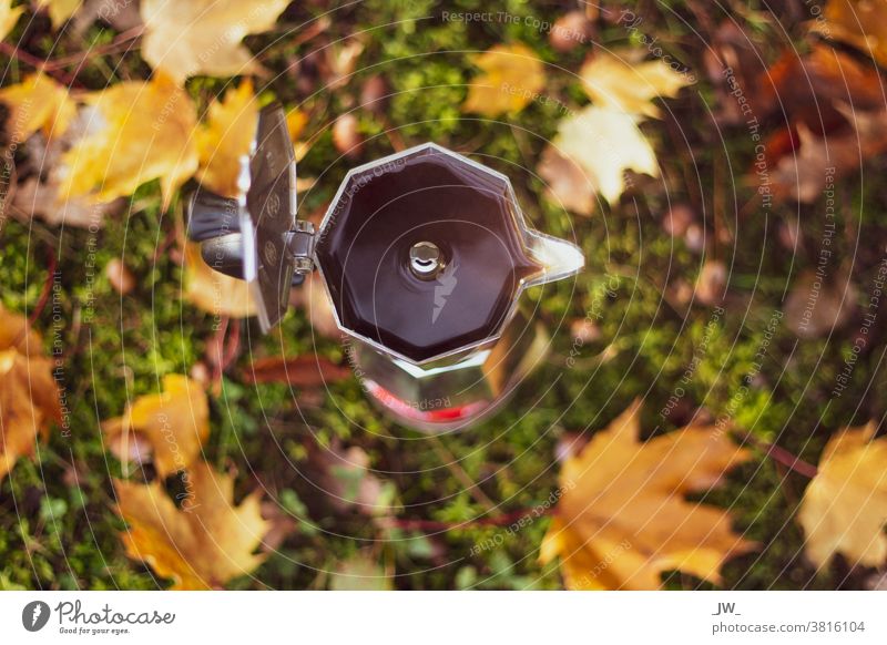 Espressokocher von oben. Hintergrund: Unscharfer Waldboden mit Herbstlaub. Outdoor bialetti Blätter Nahaufnahme Kaffee Café Heißgetränk Kaffeepause Farbfoto