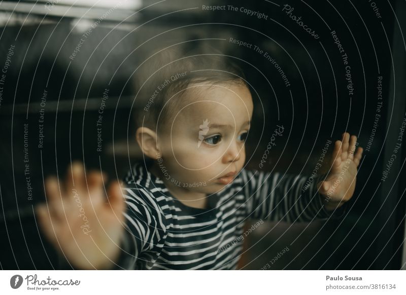 Kleinkind schaut durch das Fenster Kaukasier 1-3 Jahre Kind zu Hause Glas Farbfoto Kindheit Innenaufnahme Mensch Junge Tag heimwärts Familie & Verwandtschaft