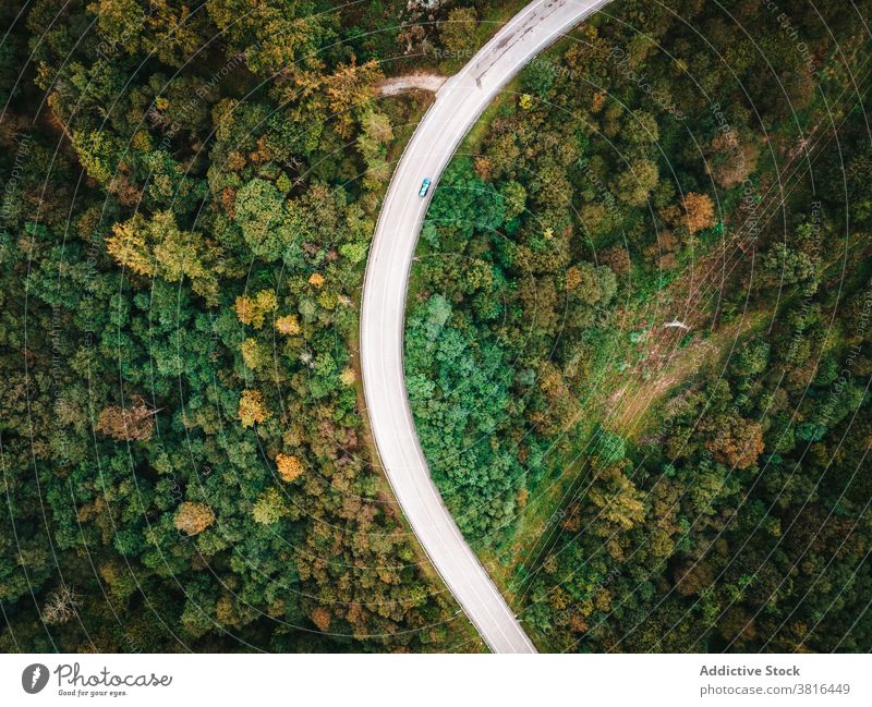Straße mit Autos im Wald Wälder PKW Laufwerk erstaunlich grün Waldgebiet Fahrbahn Autobahn spektakulär Verkehr Fahrzeug malerisch Baum Route Natur Ausflug