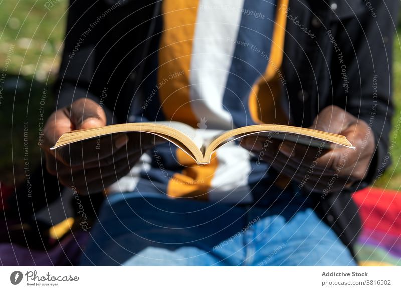Anonymer schwarzer Mann liest Buch im Park lesen sich[Akk] entspannen Decke unterhalten Etage männlich ethnisch Afroamerikaner interessant Roman Sommer