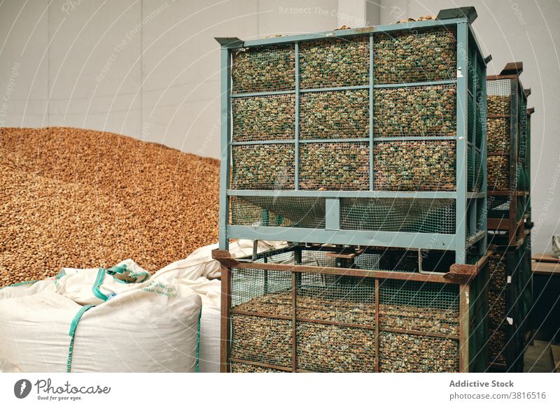 Verschiedene Körner in Containern im Lager gelagert Speicher Korn Weizen Lagerhalle Fabrik Einrichtung Ackerbau Sack Kasten Industrie Inszenierung industriell