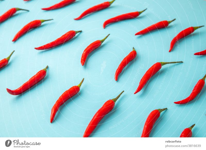 scharfer roter Chili, auf blauem Hintergrund Gemüse heiß Peperoni frisch Paprika Lebensmittel Bestandteil organisch reif vereinzelt weiß Gewürz Atelier