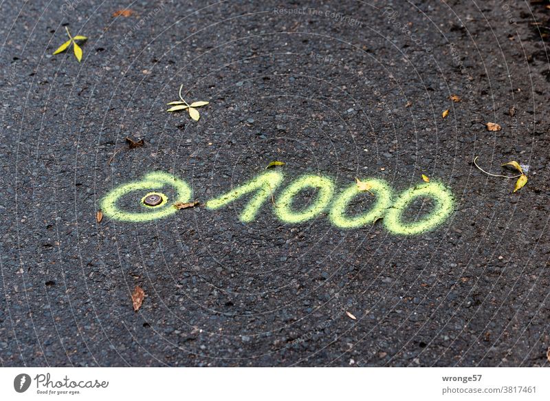 Messpunkt und die Ziffer 1000 mit Farbe auf schwarzen Asphalt gesprüht und markiert Straße schwarzer Asphalt Signalfarbe Markierung Straßenbelag Baustelle