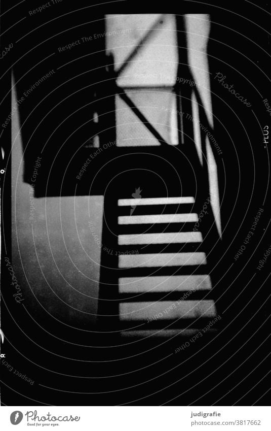 Analoges Foto einer Treppe stufen Schwarzweißfoto analog unheimlich dunkel ungewiss Architektur abwärts aufwärts Geländer Treppengeländer Gebäude