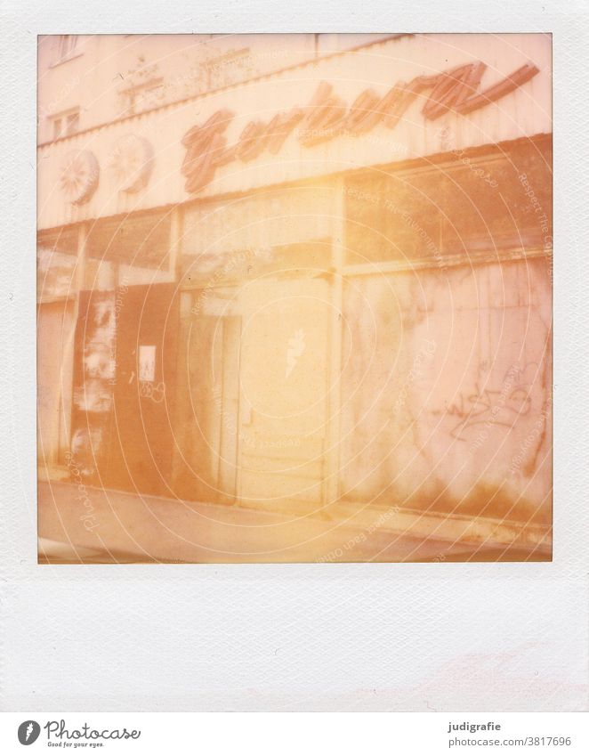 Verblühte Gerbera. Polaroid eines ehemaligen Blumengeschäfts. Schrift Typographie Leuchtreklame Gebäude Vergänglichkeit Vergangenheit Geschäft geschlossen