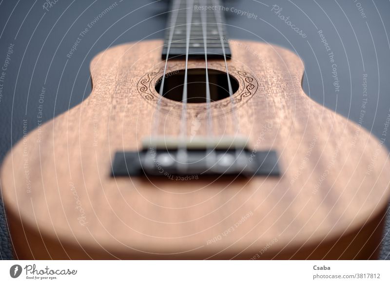 Braune Ukulele auf schwarzem Hintergrund mit geringer Feldtiefe hölzern Instrument Holz Objekt akustisch Musical Nahaufnahme abschließen Gitarre Schnur braun