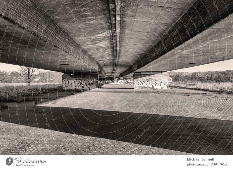 Unter einer Autobahnbrücke Brücke Brückenkonstruktion Schwarzweißfoto Schatten Schattenwurf Beton stabil wuchtig lang Kurve