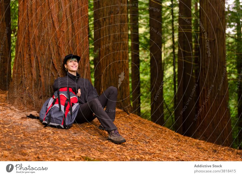 Entspannter Reisender in der Nähe von Baum im Wald riesig sich[Akk] entspannen ruhen Entdecker Rucksack reisen monte cabezon naturdenkmal der sequoias Trekking