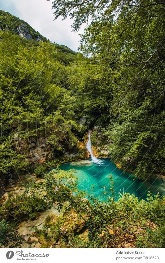 Wasserfall und Teich im Sommerwald bei Tageslicht Wald Natur Hochland Berge u. Gebirge vegetieren Umwelt fließen Grün farbenfroh Kaskade Flüssigkeit schnell
