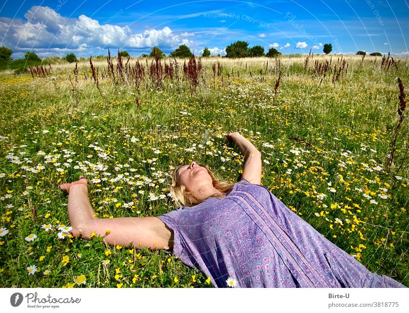 Frau liegt auf Blumenwiese Sommer Natur Entspannung Glück Zufriedenheit Freude