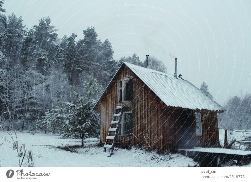 Ein kleines Holzgebäude (Badehaus) mit einem rauchenden Schornstein im Dorf vor dem Hintergrund eines Kiefernwaldes bei Schneefall. Ländliche Landschaft bei Schneefall.