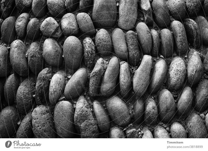 Kieselsteinteppich Kieselsteine Ordnung akkurat Anordnung eng Schwarzweißfoto Strukturen & Formen Menschenleer